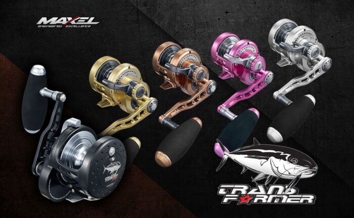 Maxel Transformer F30CH