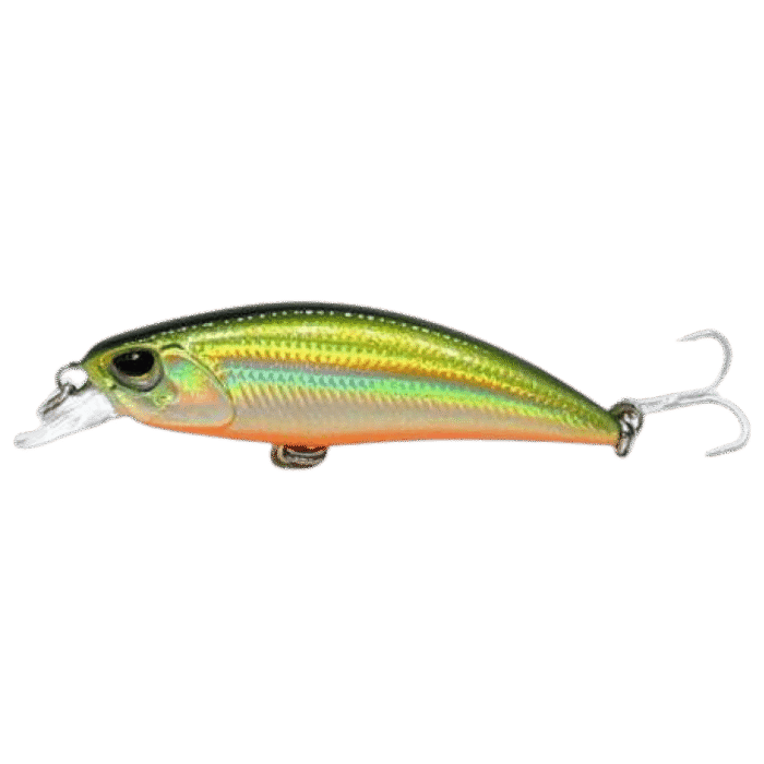 Minnow Joker - Image 4