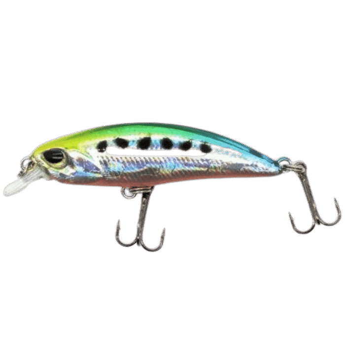 Minnow Joker - Image 6