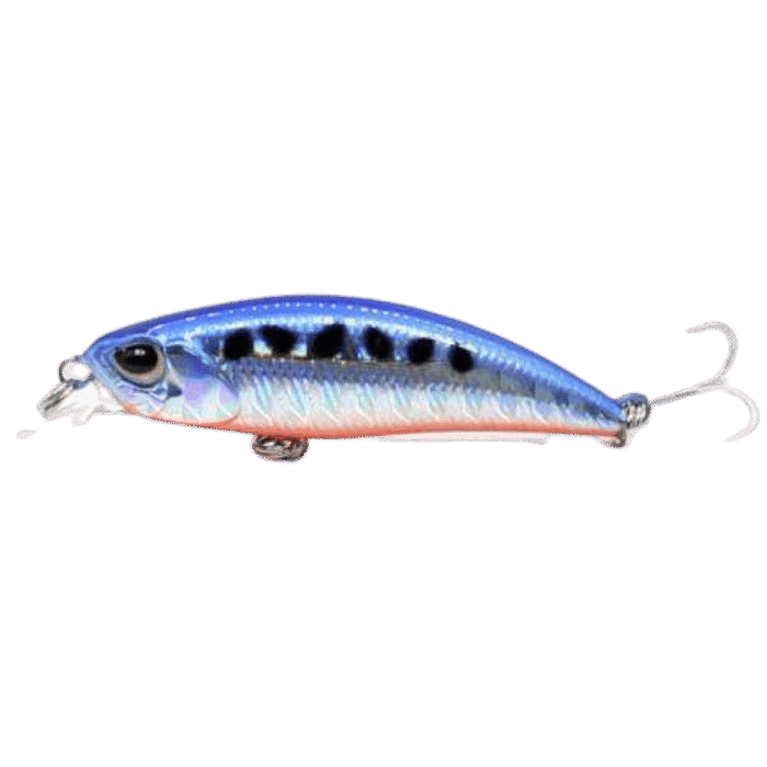 Minnow Joker - Image 5