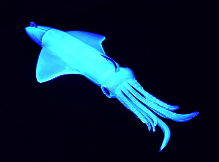 GT BIO Kalamy Squid 175mm 120gr - Image 7