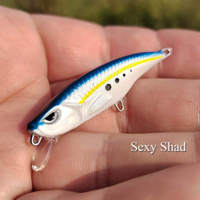 Psaraki Minnow - Image 7