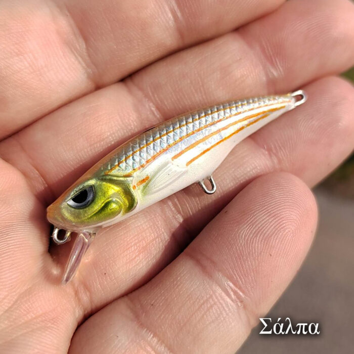 Psaraki Minnow - Image 6