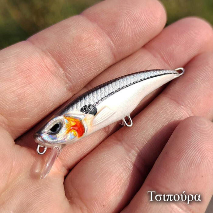 Psaraki Minnow - Image 4