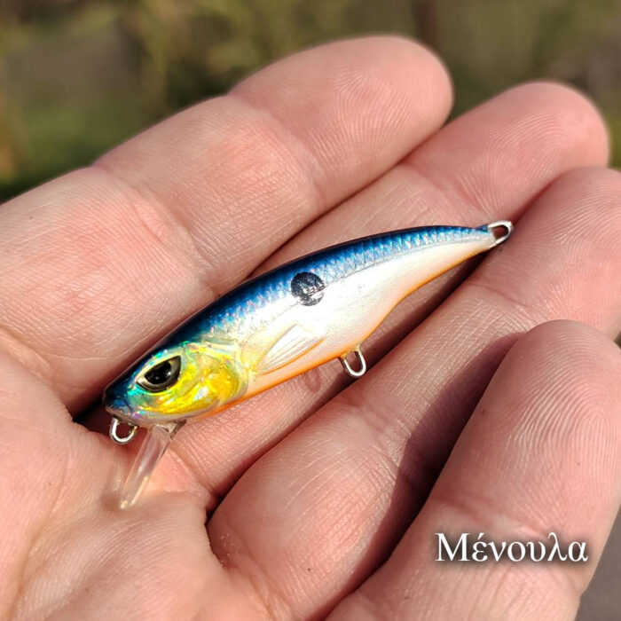 Psaraki Minnow - Image 3