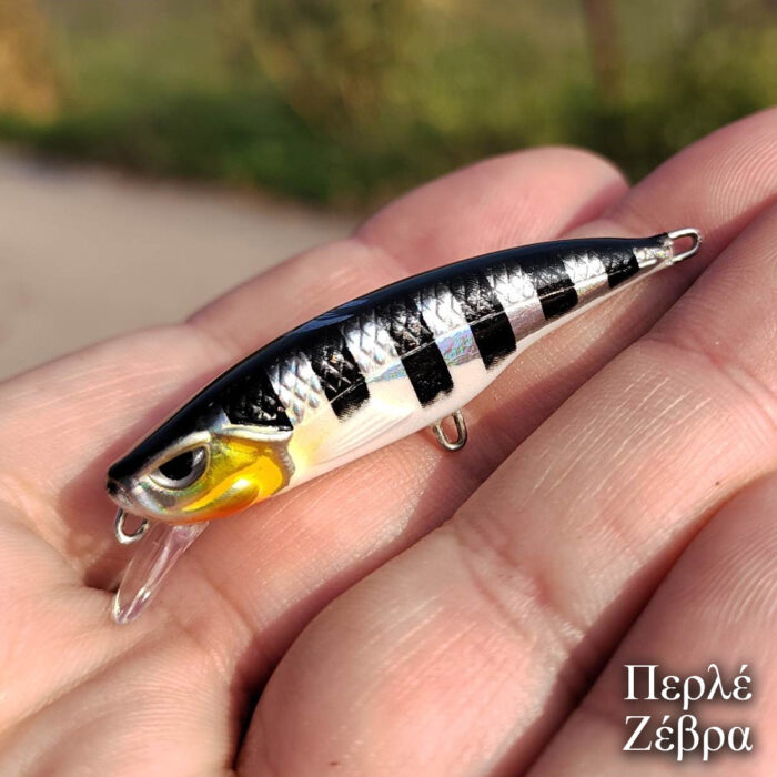 Psaraki Minnow - Image 2