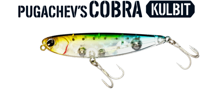 Ima Pugachev's Cobra 90 - Image 28