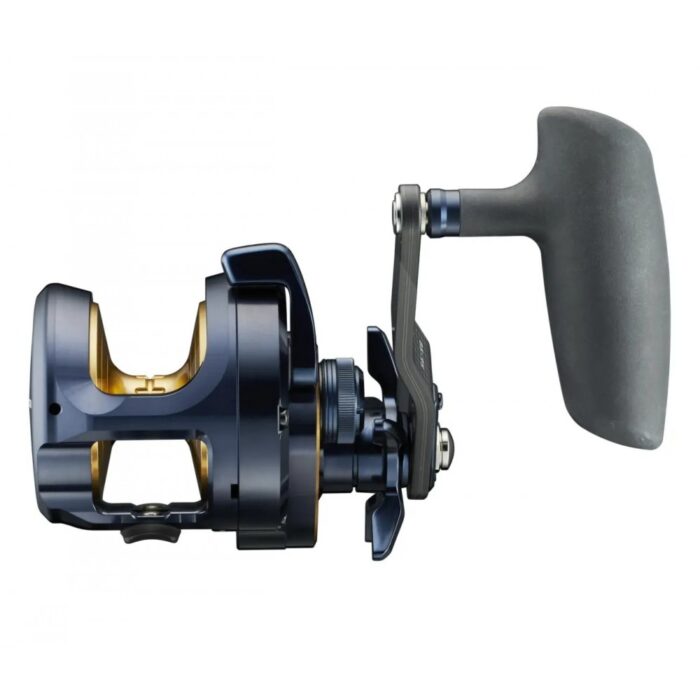 Daiwa Saltiga 2024 - Image 4