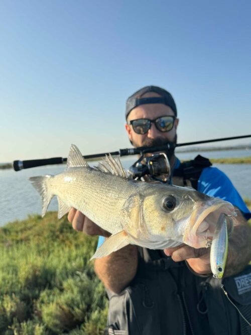 WhatsApp Image 2025-01-27 at 18.24.28_5b8c6fd2