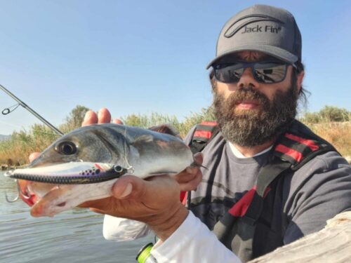 WhatsApp Image 2025-01-27 at 18.25.00_2460eb1c