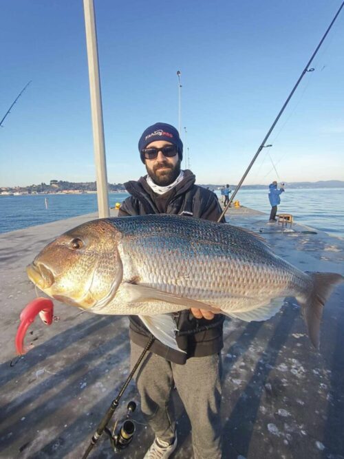 WhatsApp Image 2025-01-27 at 18.25.41_bd686ebc