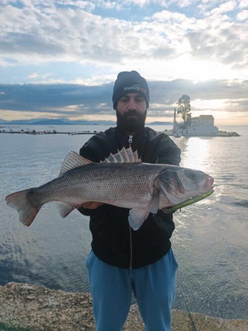 WhatsApp Image 2025-01-27 at 18.27.06_6e361cdc