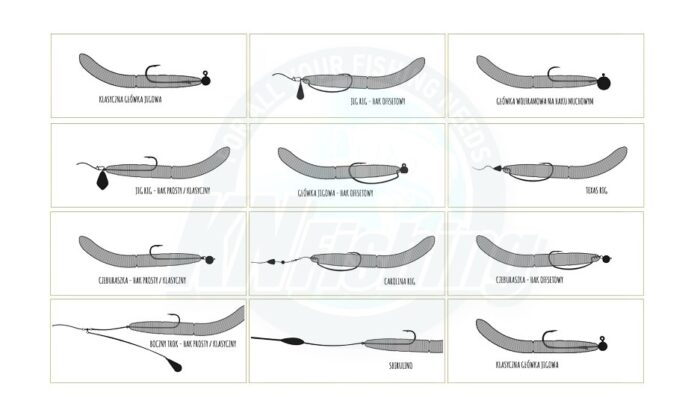 Libra Lures Fatty D' Worm 65 - Image 3