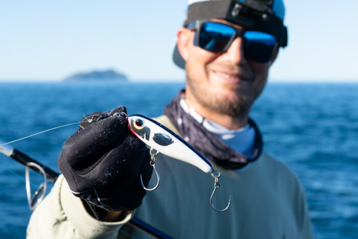 Malosi Rogue 120S - Image 2