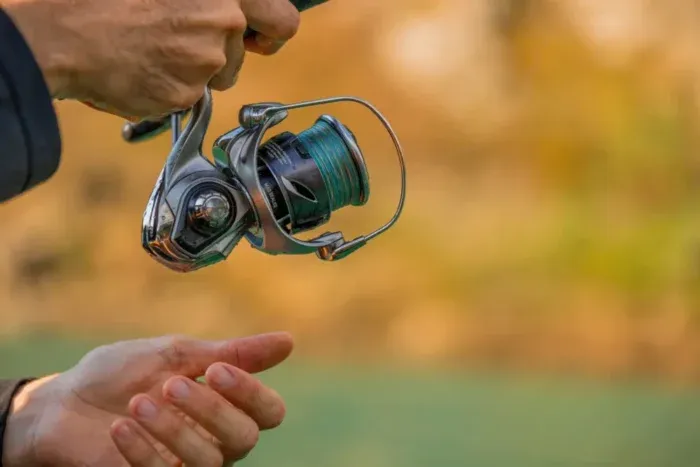 Daiwa Caldia 25 - Image 5