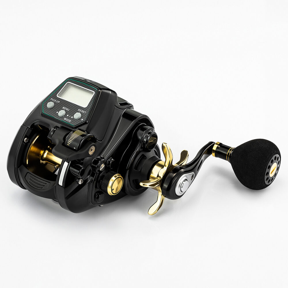 Ecooda Z Thunder EZH 3000
