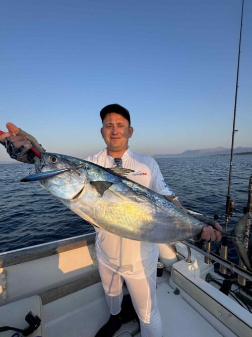 Messenger_creation_C34E914D-BD21-4420-BD8C-24BD2D22B17C