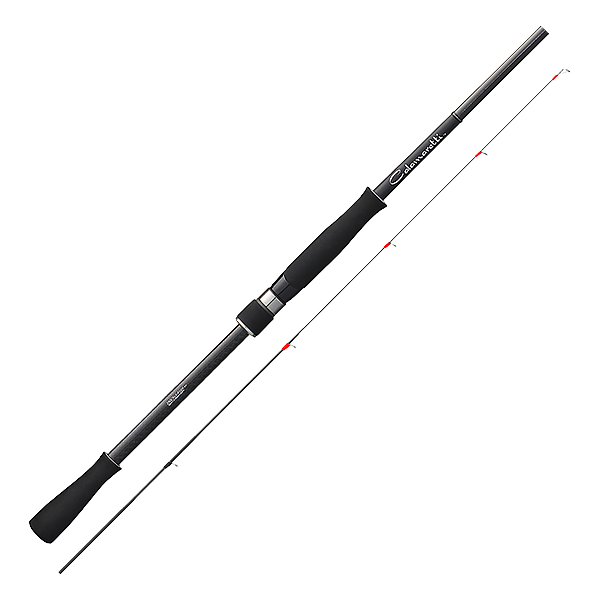 Graphiteleader Calamaretti