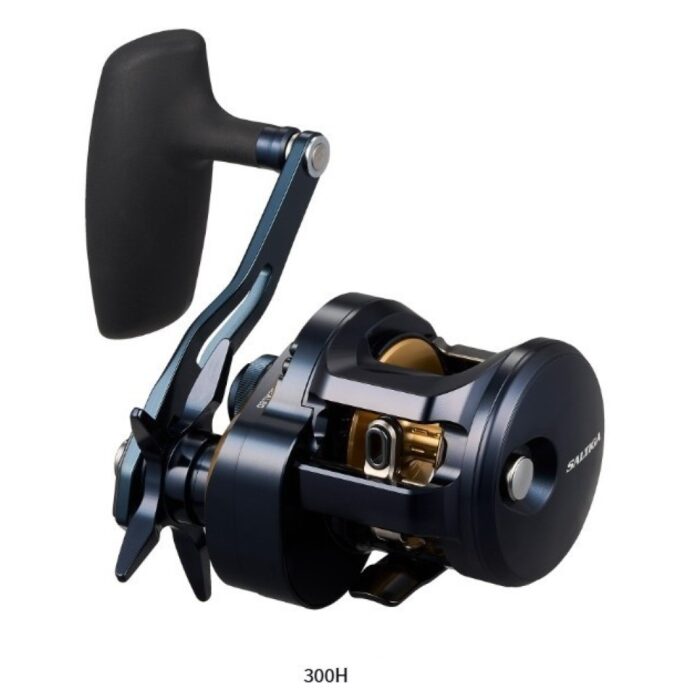 Daiwa Saltiga 25 300H